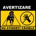 Placuta nu atingeti cainele